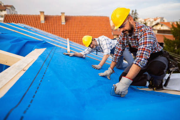 Roof Gutter Cleaning in Boston, GA