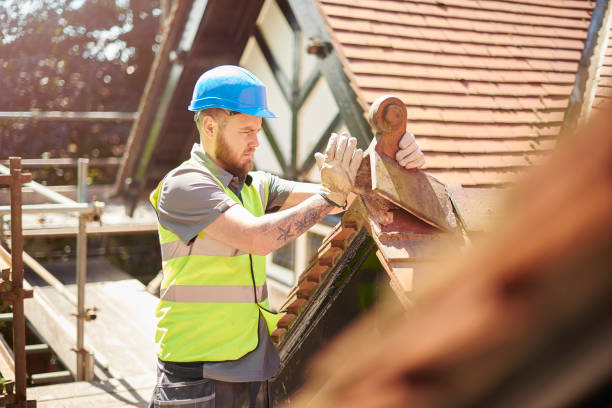 Professional Roofing Contractor in Boston, GA